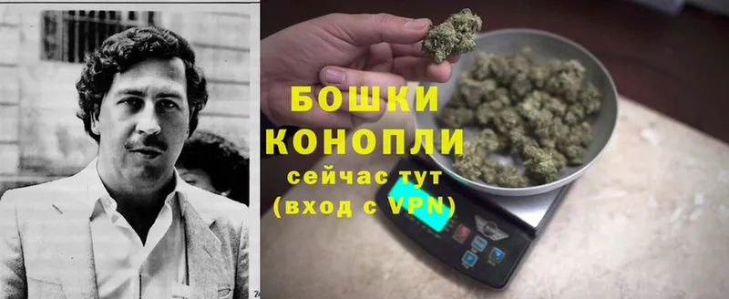 МАРИХУАНА SATIVA & INDICA  наркота  Северодвинск 